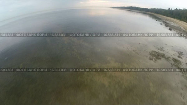 Финский залив, съемка с воздуха, Тарховский пляж, Санкт-Петербург (2014 год). Стоковое видео, видеограф Всеволод / Фотобанк Лори