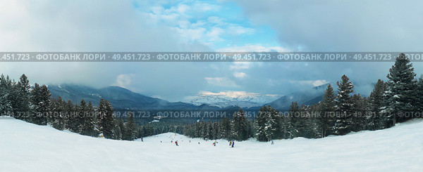 Fir forest panorama with tall trees covered by snow growing along snowy ski slope of the Pirin mountain with foggy clouds in Bansko, Bulgaria. Стоковое фото, агентство Ingram Publishing / Фотобанк Лори