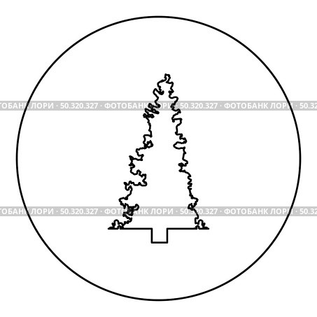 Fir tree Christmas Coniferous Spruce Pine forest Evergreen woods Conifer  silhouette in circle round black color vector illustration contour outline style image simple image. Fir tree Christmas Coniferous Spruce Pine forest Evergreen woods Conifer silhouette in circle round black color vector illustration contour outline style image . Стоковая иллюстрация, агентство Ingram Publishing / Фотобанк Лори