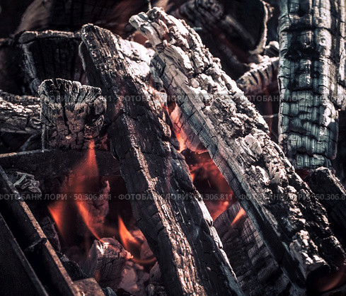 Fire, flames from wood ember for grill or bbq picnic, fume and firewood outdoor on the green field. Fire, flames from wood ember for grill or bbq picnic, fume and firewood outdoor. Стоковое фото, агентство Ingram Publishing / Фотобанк Лори