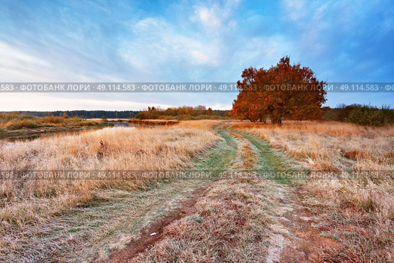 First autumn frosts in oak wood. Road in the meadow near the river in Belarus. Стоковое фото, агентство Ingram Publishing / Фотобанк Лори