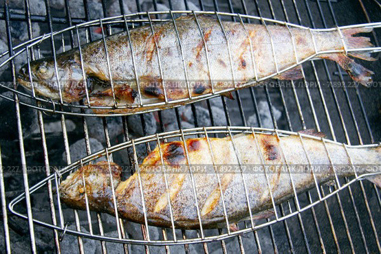fish barbecue grill barbeque trout. Стоковое фото, фотограф Juergen Buettner / PantherMedia / Фотобанк Лори