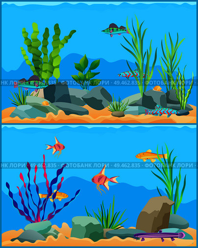 Fish underwater seascape set. School of fish with non-flowering plants seaweed with aquatic animals. Exotic biodiversity diversity vector illustration. Fish Underwater Scape Set Vector Illustration. Стоковая иллюстрация, агентство Ingram Publishing / Фотобанк Лори