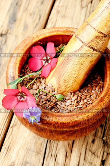 Flax seed and flax flowers in mortar.Linseeds. Brown flax seeds. Стоковое фото, агентство Ingram Publishing / Фотобанк Лори