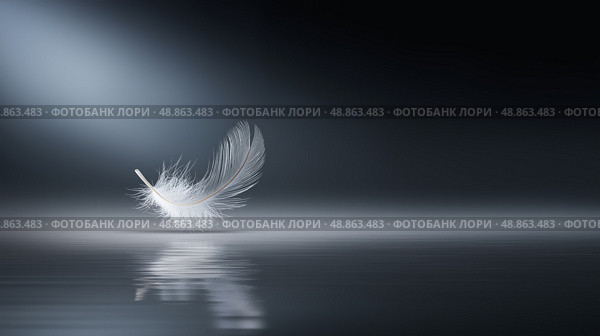 Floating white feather reflecting on calm water in a serene setting. Плывущее белое перо, отражающееся в спокойной воде в безмятежной обстановке. Стоковое AI-изображение, AI-художник Katsiaryna Repich / Фотобанк Лори