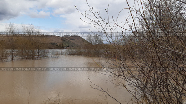 Floodwaters cover landscape near hills with bare trees during overcast weather conditions in early spring. Стоковое фото, фотограф Александра Рублева / Фотобанк Лори