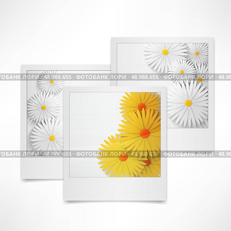 flowers on the photo. Стоковая иллюстрация, агентство Ingram Publishing / Фотобанк Лори