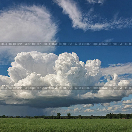 Fluffy white clouds billow in various shapes, casting soft shadows on a vibrant green field, while a bright blue sky brings warmth and serenity to the scene Generative AI. Стоковое AI-изображение, AI-художник Юлия Петровская / Фотобанк Лори