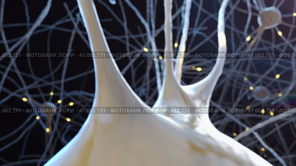 Flying backwards through nervous system between nerves and nerve synapses. Стоковое видео, видеограф Олег Грач / Фотобанк Лори