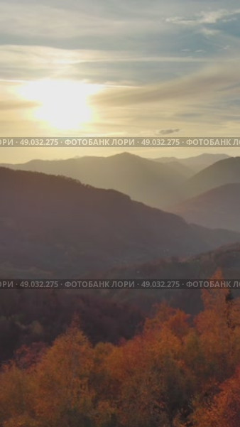 Flying over colorful foliage at sunset in mountains. Стоковое видео, видеограф Михаил Коханчиков / Фотобанк Лори