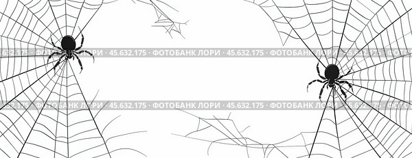 Фон с пауками и паутиной. Стоковое AI-изображение, AI-художник Александр Жуков / Фотобанк Лори