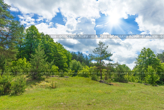 Forest glade. Стоковое фото, агентство Ingram Publishing / Фотобанк Лори