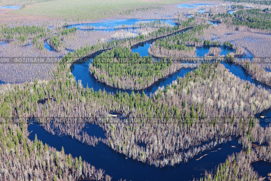 Forest river in spring, top view. Стоковое фото, фотограф Владимир Мельников / Фотобанк Лори