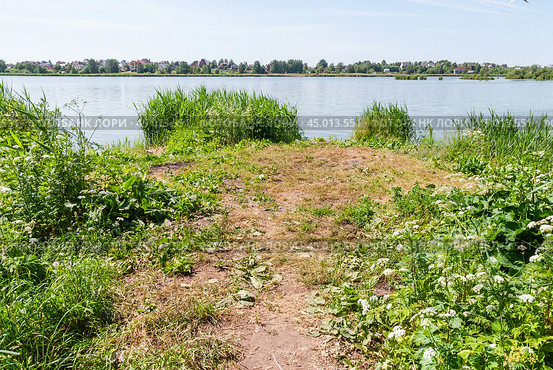Фрагмент берега реки Сестры (2019 год). Редакционное фото, фотограф Алёшина Оксана / Фотобанк Лори