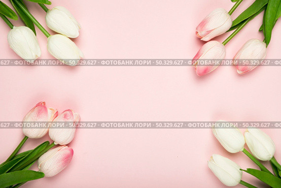 frame blossom tulips with copy space. High resolution photo. frame blossom tulips with copy space. High quality photo. Стоковое фото, агентство Ingram Publishing / Фотобанк Лори