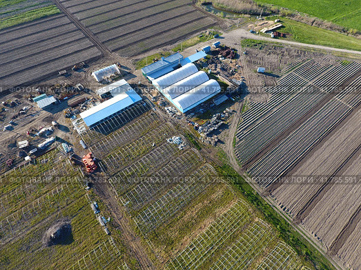 Frameworks of greenhouses, top view. Construction of greenhouses in the field. Agriculture, agrotechnics of closed ground. Стоковое фото, фотограф Леонид Еремейчук / Фотобанк Лори