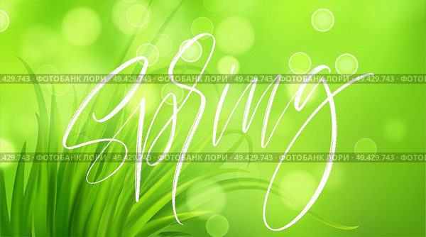 Frash Spring green grass background with handwriting lettering. Vector illustration EPS10. Frash Spring green grass background with handwriting lettering. Vector illustration. Стоковая иллюстрация, агентство Ingram Publishing / Фотобанк Лори