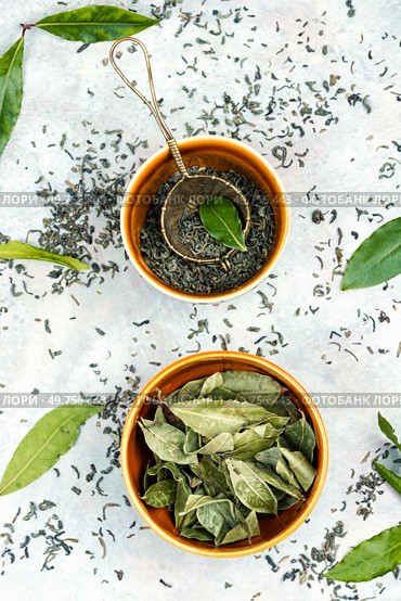 Fresh bay leaf tea and vintage tea sieve. Herbal medicine. Flat lay. Fresh laurel leaves infusion. Стоковое фото, агентство Ingram Publishing / Фотобанк Лори
