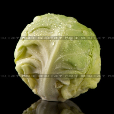 Fresh brussels sprouts isolated on black background. Стоковое фото, агентство Ingram Publishing / Фотобанк Лори