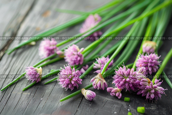 Fresh chive blossoms scattered on rustic wooden table. Стоковое AI-изображение, AI-художник Иван Рябоконь / Фотобанк Лори