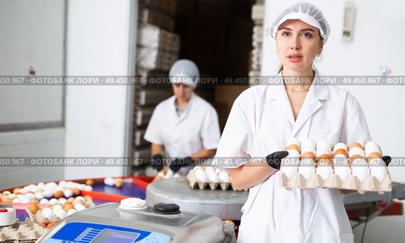 Fresh egg grading and sorting machine, grade egg by weight and size. Стоковое фото, фотограф Яков Филимонов / Фотобанк Лори