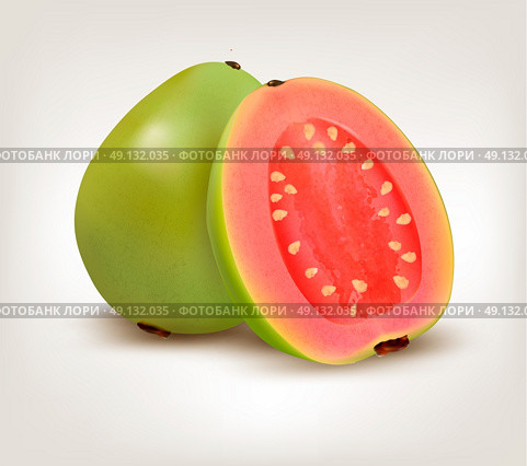 Fresh green Guava fruit. Vector. Стоковая иллюстрация, агентство Ingram Publishing / Фотобанк Лори