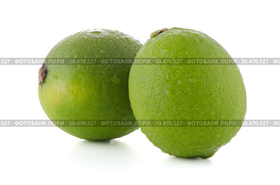 Fresh green limes isolated on white background. Стоковое фото, агентство Ingram Publishing / Фотобанк Лори