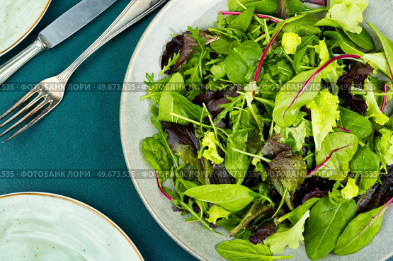 Fresh healthy green salad mix with salad lettuce, chicory, arugula. Green food.. Fresh salad with mixed greens. Стоковое фото, агентство Ingram Publishing / Фотобанк Лори