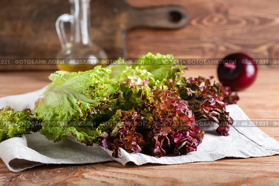 Fresh Lollo Rosso lettuce on wooden background. Стоковое фото, фотограф Pixel_shot / Фотобанк Лори