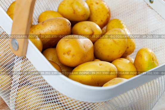 Fresh potatoes in steel mesh bucket on wooden table. Стоковое фото, фотограф Яков Филимонов / Фотобанк Лори