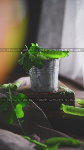Freshly picked green peas spill over the edge of a small metal bucket and sit on a wooden block, the soft warm glow adding a bit of magic to the rustic scene. Стоковое видео, видеограф Ольга Ильина / Фотобанк Лори