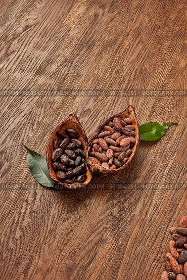 From above of composed halves of organic pods filled with piles of unpeeled and peeled cocoa beans placed on wooden surface with green leaves. Halved cocoa pods with peeled and unpeeled beans. Стоковое фото, агентство Ingram Publishing / Фотобанк Лори