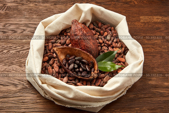 From above of white fabric sack filled with unpeeled cocoa beans and cocoa pods with green leaves. Textile bag full of organic cocoa beans. Стоковое фото, агентство Ingram Publishing / Фотобанк Лори