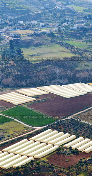 from high coultivation of vegetable in the greenhouse in jordan. Стоковое фото, агентство Ingram Publishing / Фотобанк Лори