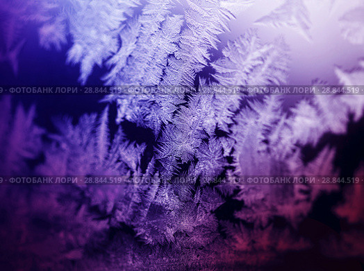 Frosty pattern on winter window. Стоковое фото, фотограф ElenArt / Фотобанк Лори