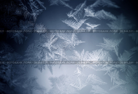 Frosty pattern on winter window. Стоковое фото, фотограф ElenArt / Фотобанк Лори