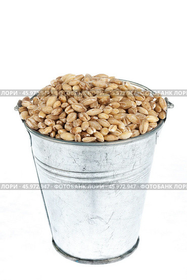 Full bucket of pearl barley grains on a white background. Стоковое фото, фотограф Александр Собко / Фотобанк Лори