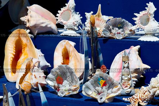 full in market old table shell and sealife in sale. Стоковое фото, агентство Ingram Publishing / Фотобанк Лори