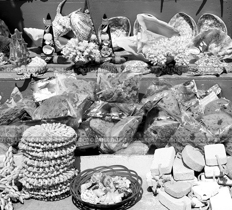 full in market old table shell and sealife in sale. Стоковое фото, агентство Ingram Publishing / Фотобанк Лори