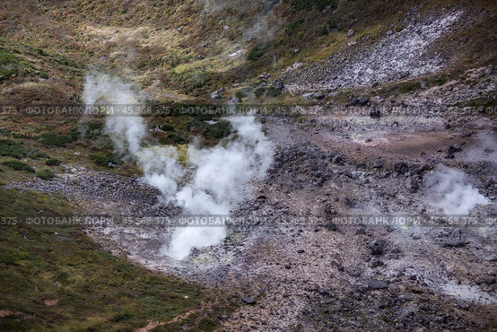 Фумарольное поле вулкана Баранского, остров Итуруп. Стоковое фото, фотограф Поволкович Федор / Фотобанк Лори