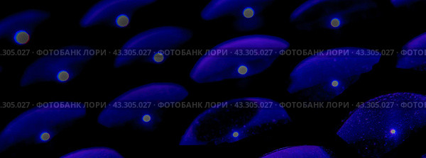 Futuristic bright lighting of stage spotlight. Lights on the stage. Photo is suitable for postcard design, template backgrounds, greeting card, posters. Стоковое фото, фотограф YuryKara / Фотобанк Лори