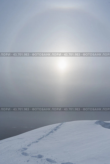 Гало. Стоковое фото, фотограф Артур Ибрагимов / Фотобанк Лори