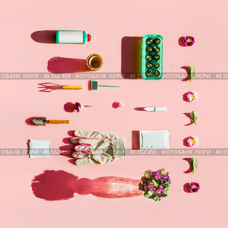 Gardening tools in sunlight with plant seed bags, fertilization bottle, flowers pots, garden sign and peat seedling tablets on pink background. Top view. Pattern. Flat lay. Branding mock up. Creative. Стоковое фото, агентство Ingram Publishing / Фотобанк Лори