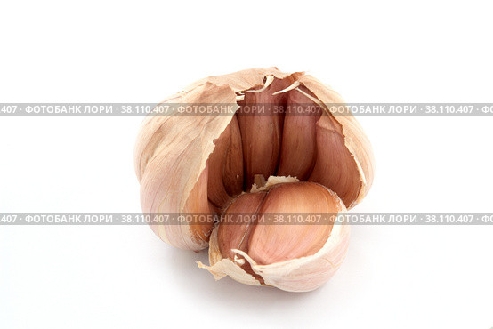 Garlic  and cloves on white background. Стоковое фото, фотограф Алексей Антипов / Фотобанк Лори