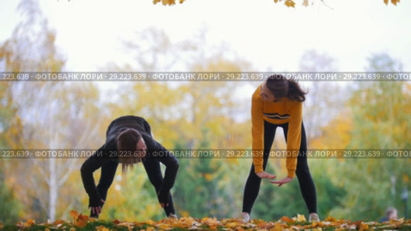 Girls stretching in park. Forward tilts. Gymnasts on training. Autumn. Стоковое видео, видеограф Константин Шишкин / Фотобанк Лори