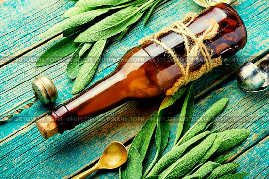 Glass bottle with medicinal tincture of fresh sage. Herbal medicine. Salvia and phytotherapy.. Sage in herbal medicine,herbalism. Стоковое фото, агентство Ingram Publishing / Фотобанк Лори