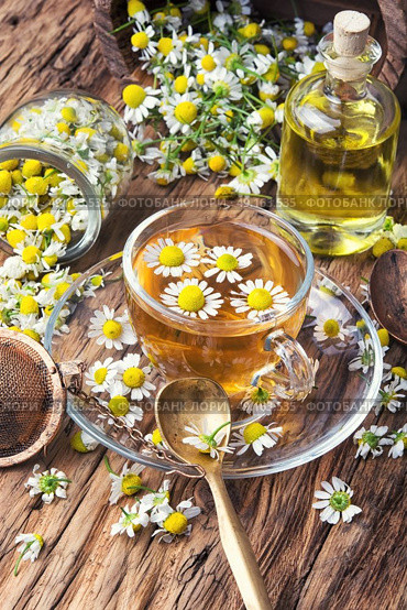 glass of herb tea with chamomile. mug of herbal tea with chamomile flowers on rustic wooden table. Стоковое фото, агентство Ingram Publishing / Фотобанк Лори