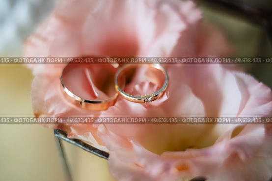 gold wedding rings as an attribute of a young couple’s wedding. Стоковое фото, агентство Ingram Publishing / Фотобанк Лори