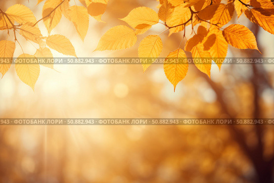 Golden autumn leaves gently swaying in warm sunlight, creating a serene backdrop. Стоковое AI-изображение, AI-художник Иван Рябоконь / Фотобанк Лори