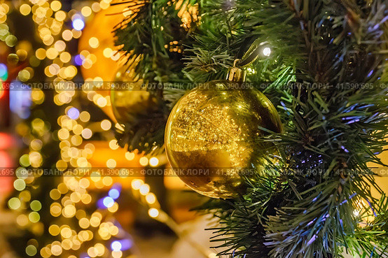 Golden ball is hanging on a spruce branch. Стоковое фото, фотограф Галина Царькова / Фотобанк Лори